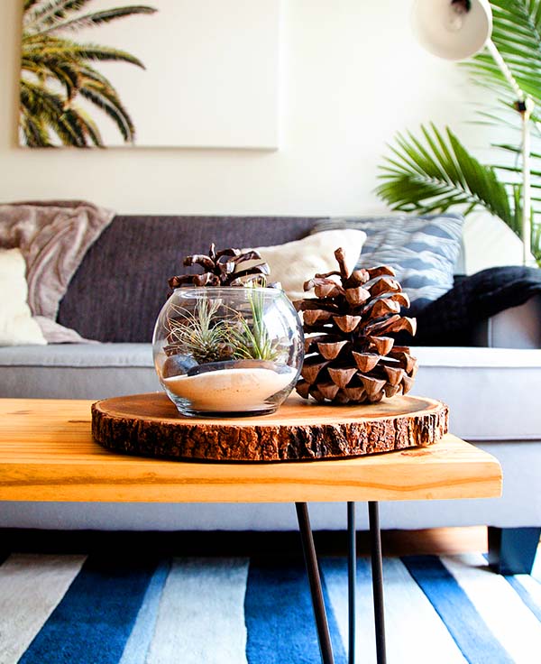 Home & Garden